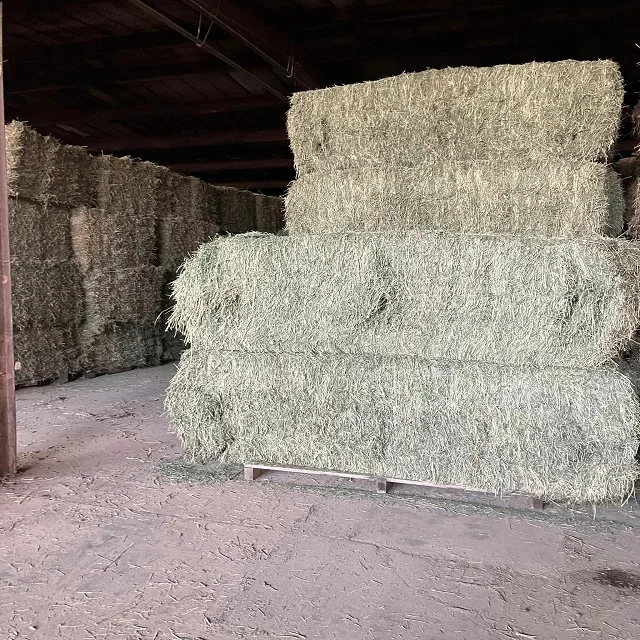 High-Quality Alfalfa and Timothy Hay for Animal Feed - Buy in Bulk with Fast Shipping and Discounted Prices