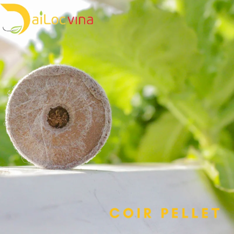 COCO COIR PELLETS PACKED IN CARTON USED FOR SEED STARTING