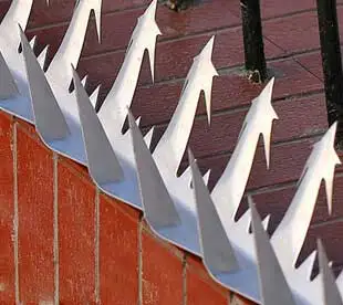 Best quality wall spike hot dip galvanized spike pvc coated spike for security on the wall