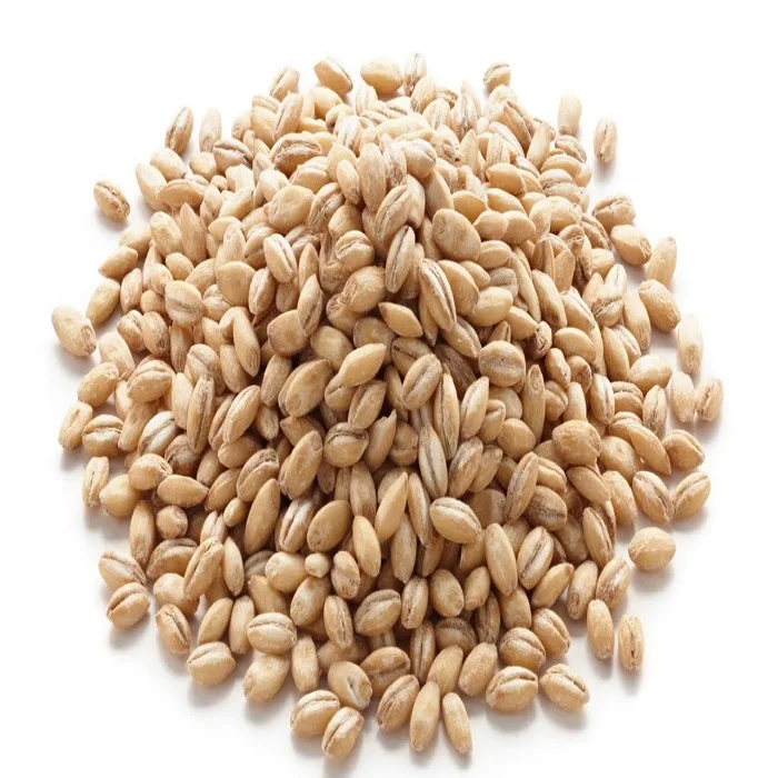 Wholesale Natural Organic top quality Animal Feed Barley 50 Kg Bag for sale