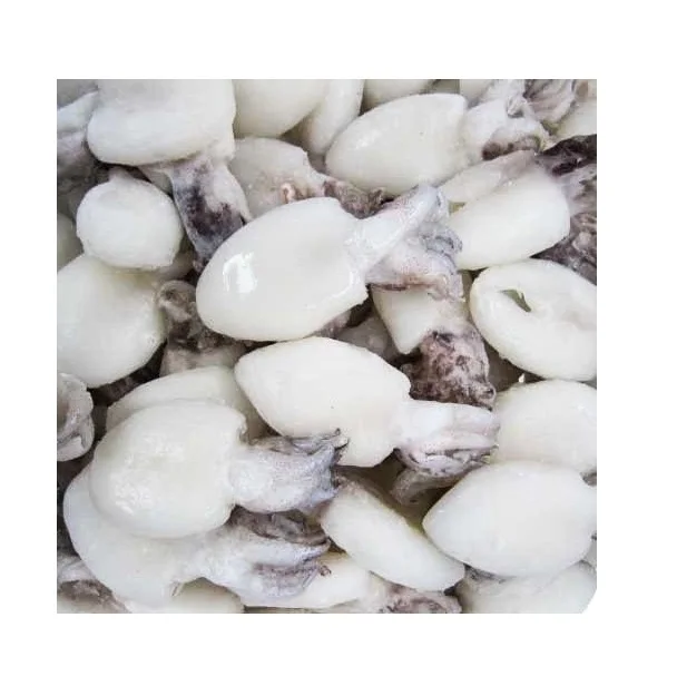 Прямой поставщик замороженных каракатиц целиком очищенных каракатиц по оптовой цене