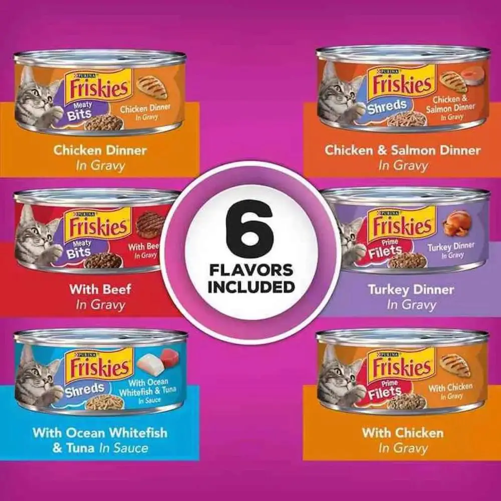 Healthy Wet Cat Food Brands 5.5 Oz Cans For Sale/ Buy Wet Cat Food In Bulk EU Variety Flavors / Cat Food Pouch