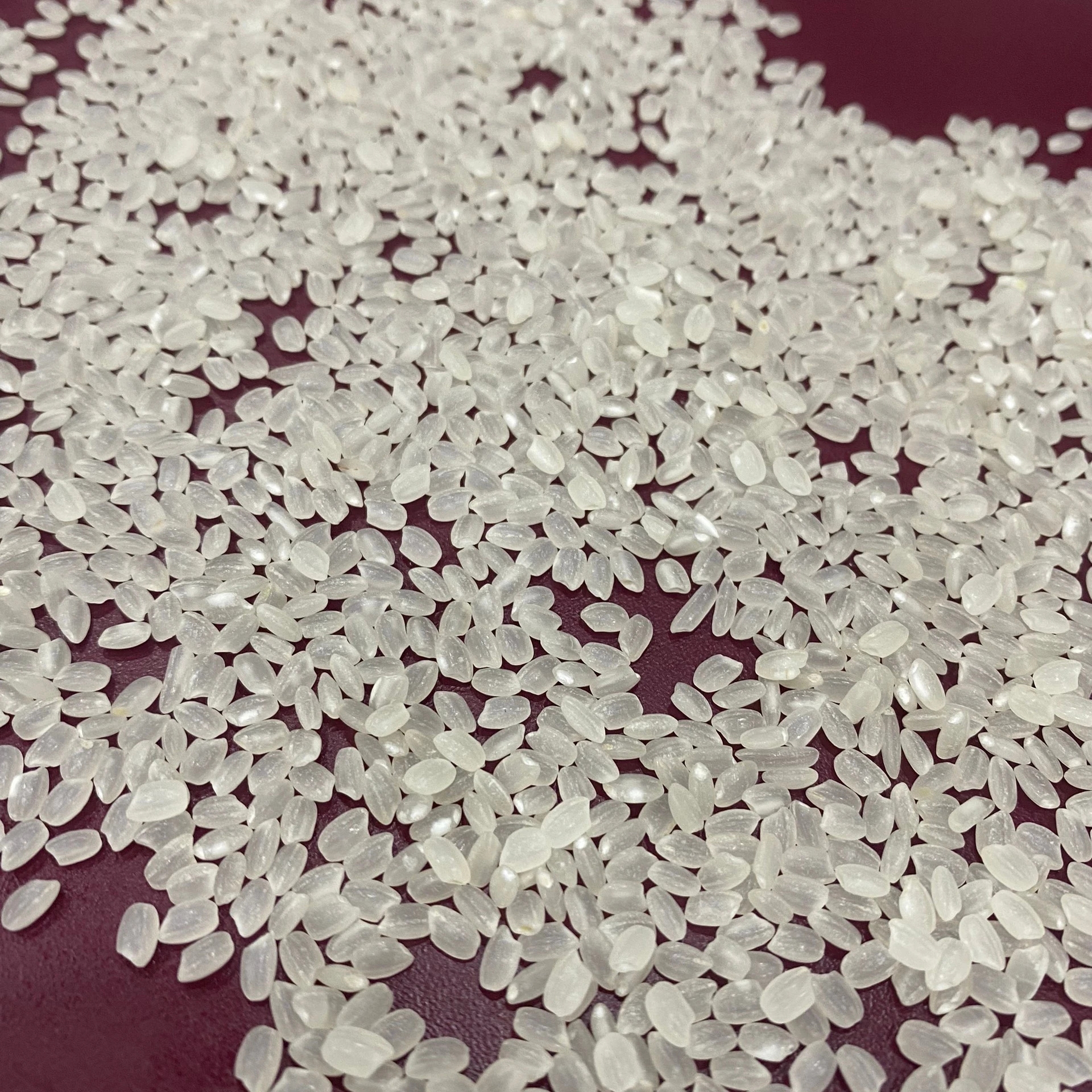 Rice Mills Supply Big Quantity Japanese koshi sushi round rice riso riz reis 2024 - WA:84-975807426 Lucy