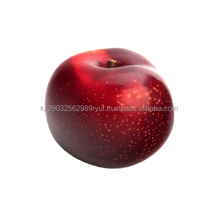 Popular plum variety BLACK DIAMOND firm and juicy red with a bright taste fiber and pectin content