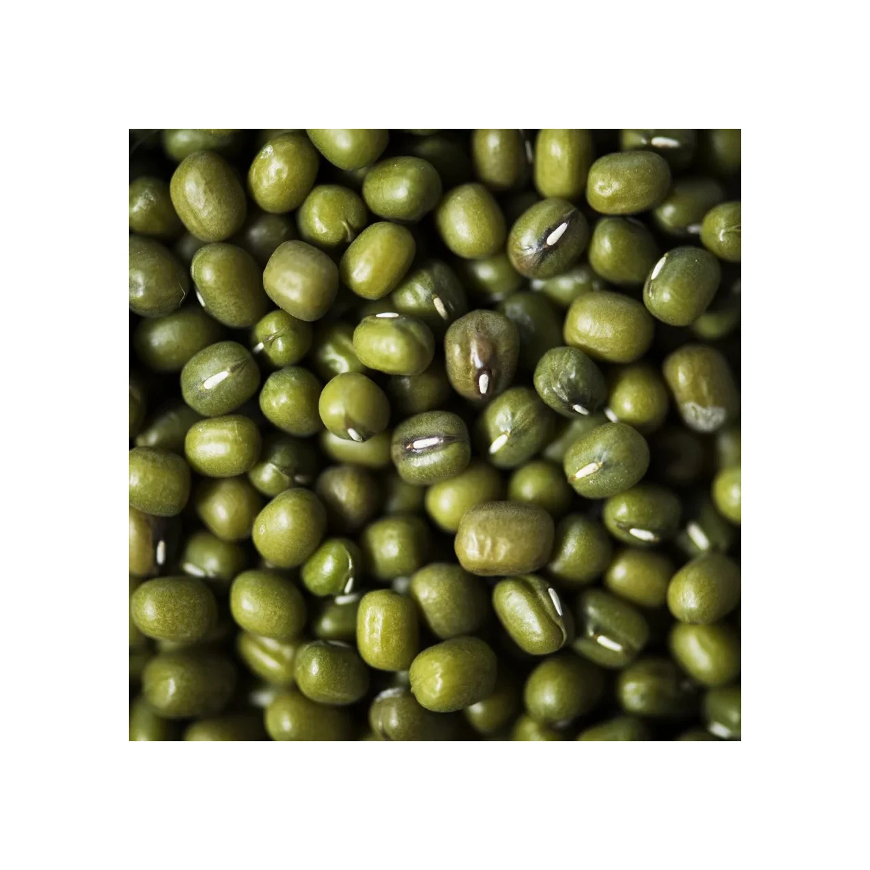 Peeled green mung beans split /mung dhal New Mung Bean Crop