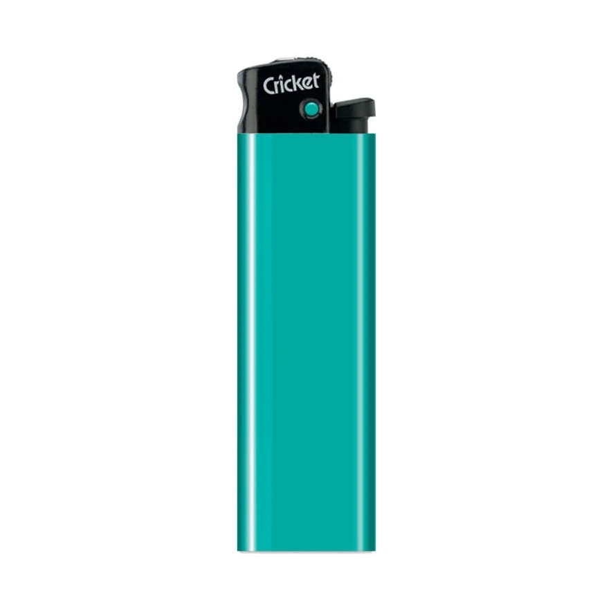 Colored Disposable/Refillable Bic   Lighter Lighter for sale