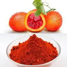 Hot Selling Sweet Gourd Powder High Quality Powder Extract from Gac Fruit