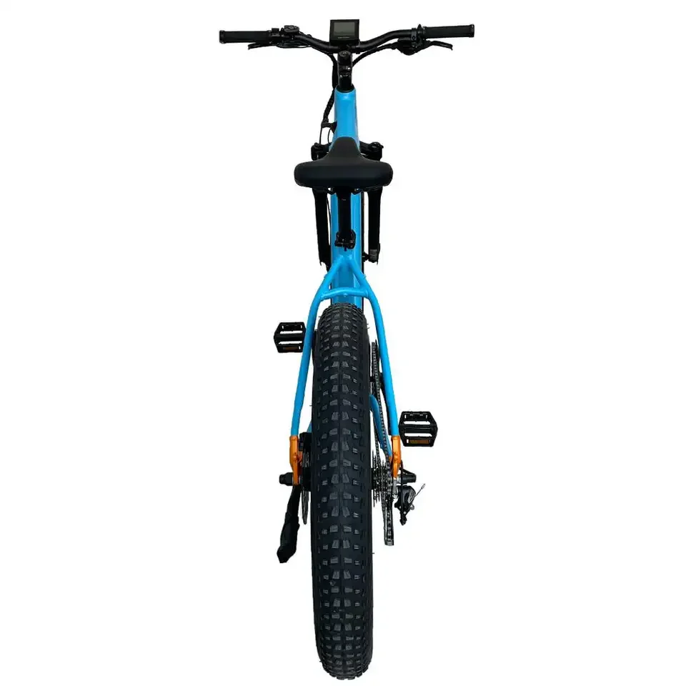 Lithium Battery customized Hydraulic Disc Brake (Hydraulic Brake Pad) aluminum alloy electric motor