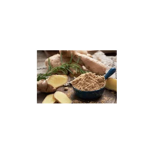 Factory Price Fresh Dehydrated Vegetable  Ginger Extract Powder Food / Drink Grade Raw Material Organic Ginger Juice Powder