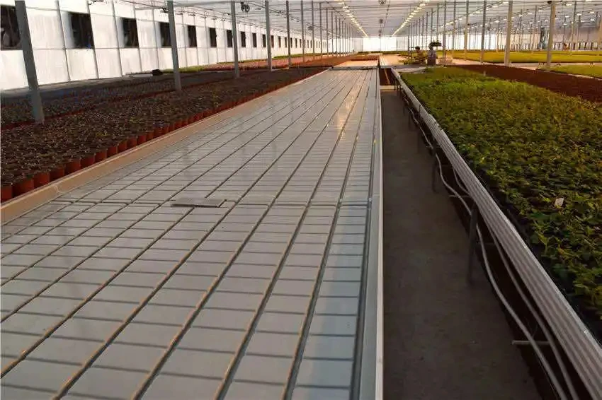 Hydroponic Greenhouse Grow Table With Growing Trays Rolling Benches For Commercial Green house Grow Table