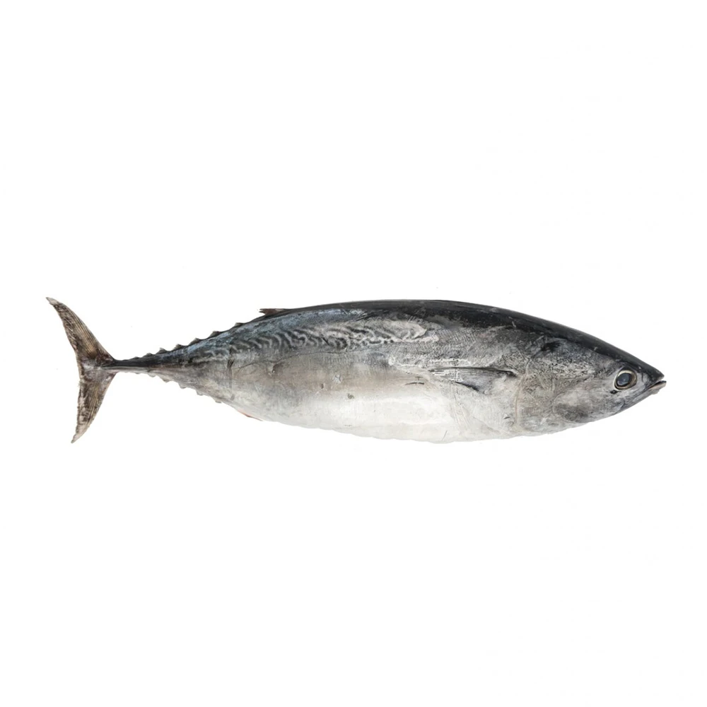 120g Weight Canned Tuna Chunk in Sunflower Oil Fish Body Style Shelf Origin Type Life Variety BRC Product ISO Salt Place Model