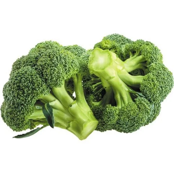 Fresh Green broccoli Available for Wholesale Buyers / Quality Fresh Vegetable Broccoli for Sale
