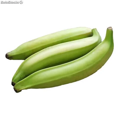 Global Freshness Wholesale Vietnamese Cavendish Bananas Unbeatable Export Deals on High Quality Bananas