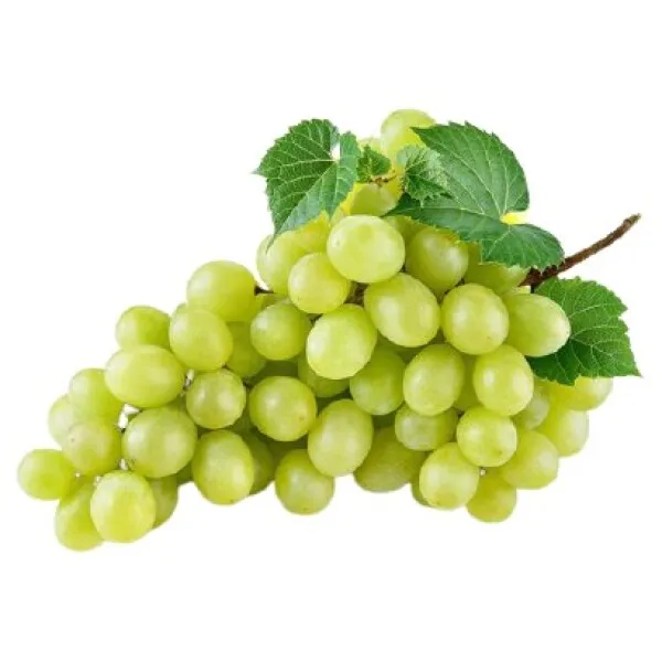 Fresh Grapes At Wholesale Prices For Export
