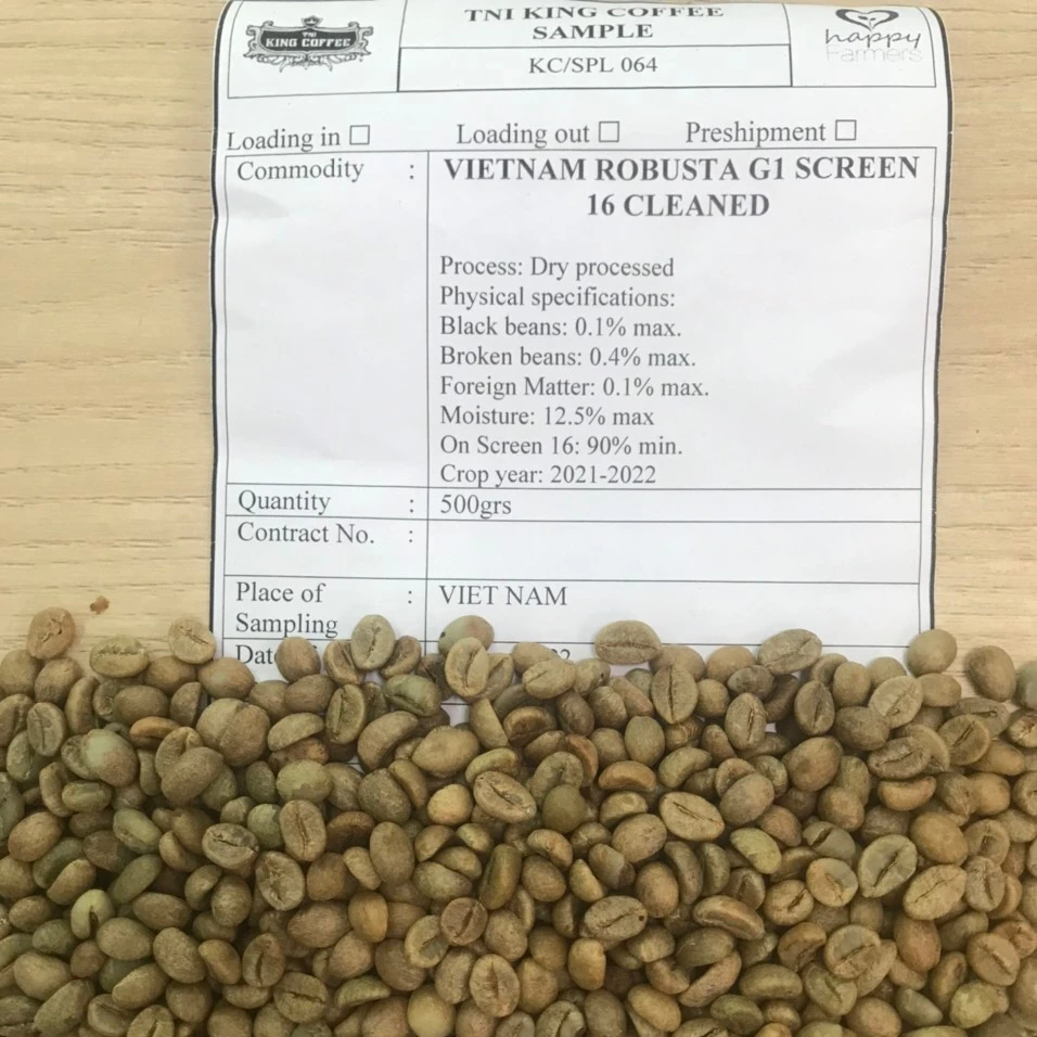 KING COFFEE - High Quality Vietnam Robusta Coffee Beans Grade 1 Screen 16 Clean - Best Ready Raw Coffee Beans from Exporter