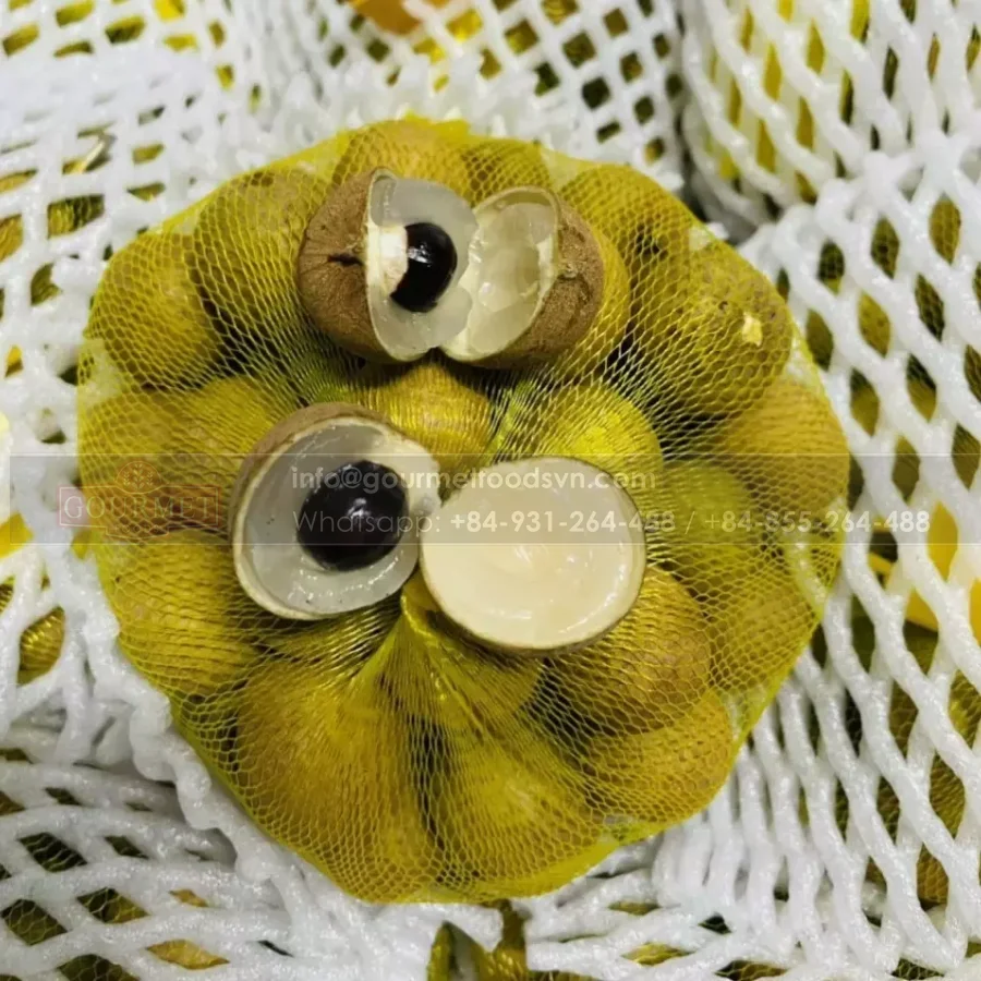 Свежие фрукты Longanfruit longan сушеные из Вьетнама лучшего качества
