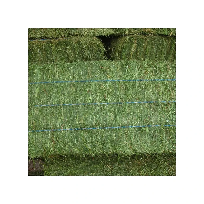 Alfafa Hay for Animal Feeding /alfalfa hay pellets /Timothy Hay in Bales