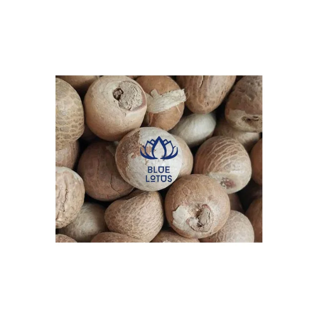 DRIED BETEL NUT WITH HIGH QUALITY , BEST PRICE EVER FROM VIET NAM