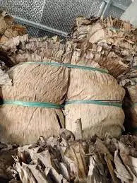 Dried Banana Leaves Banana Leaves Cheap Price Akina