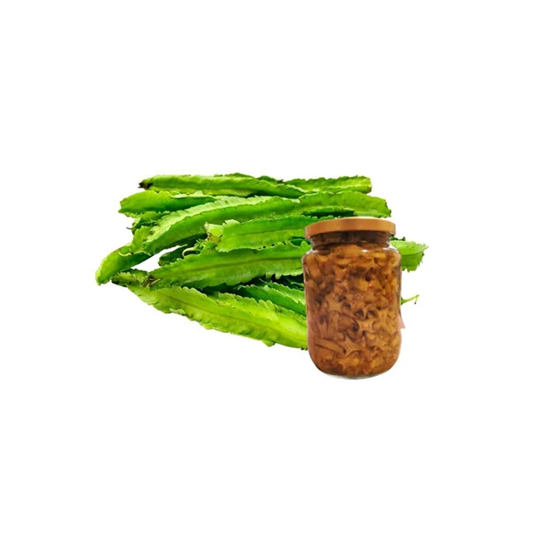 Rich in Vitamin and Protein 100% Pure Natural Organic Canned Winged Bean (Dambala) in Brine at Wholesale Price