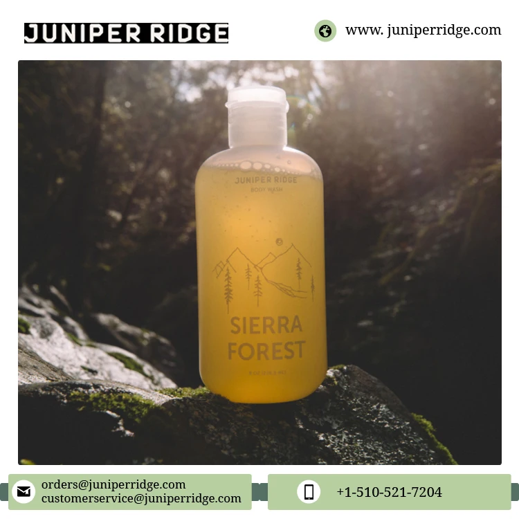 Best Daily Use Natural Woody Forest Smell Aromatherapy Wholesale Supply Sierra Forest Body Wash from USA