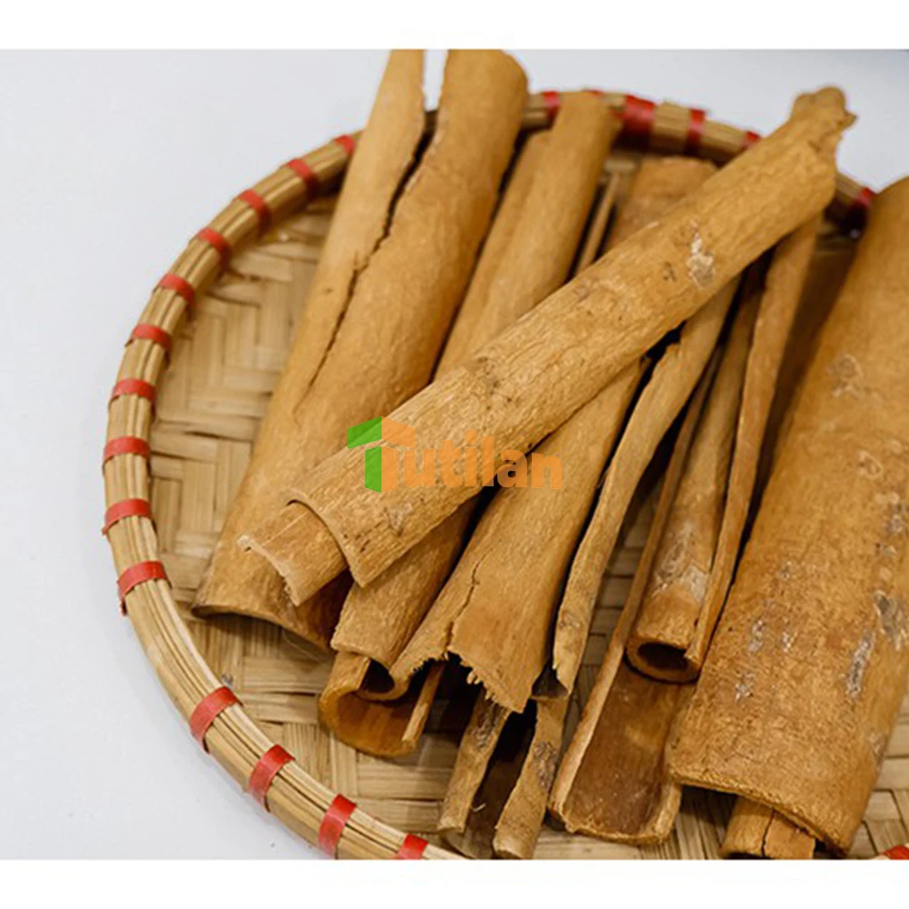 Planting Quality Assurance Dried Cinnamon Factory Wholesale Price Cassia Cinnamon Stick