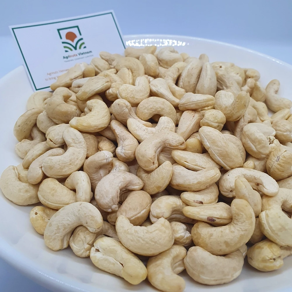 Cashew Nuts WW320 Special Product With Origin Vietnam Best Price For Sale High Quality Prestigious Manufacture