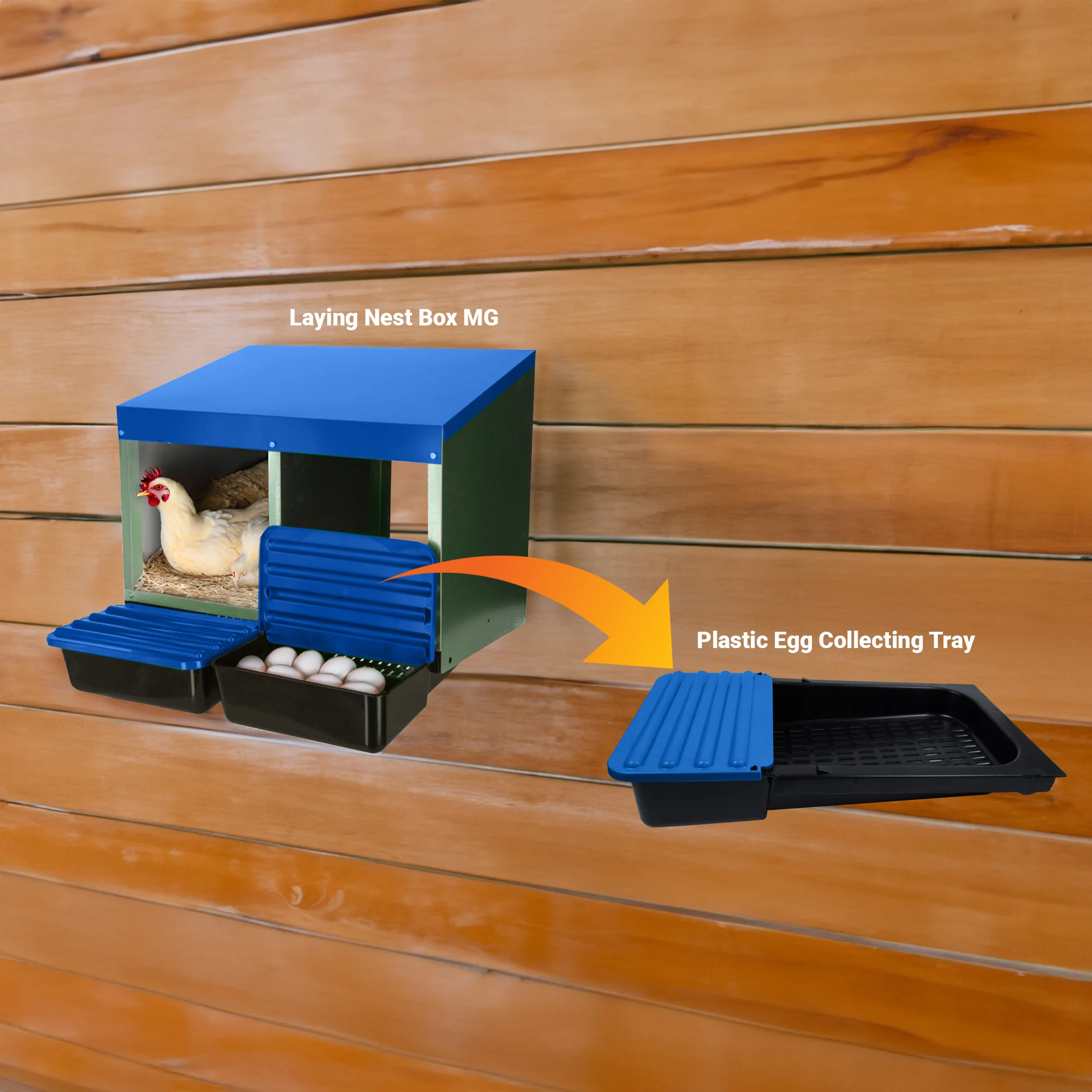 Ergonomic Egg Collection Solution For Chicken Laying Nesting Boxes MG Series - Comfortable Egg Handling & Sturdy Construction
