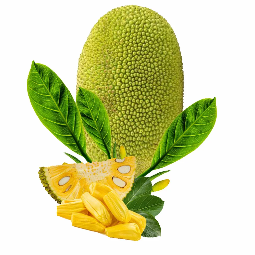 Good Quality Tropical Fruit Sweet Taste Fresh Jackfruit 100% Natural Yellow Color International Certificate