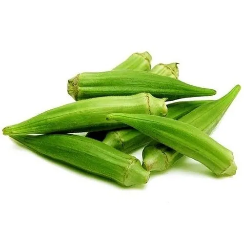 Philippines High Grade Agriculture Product Natural And Best Quality Vegetable Okra for sale at wholesale prices.