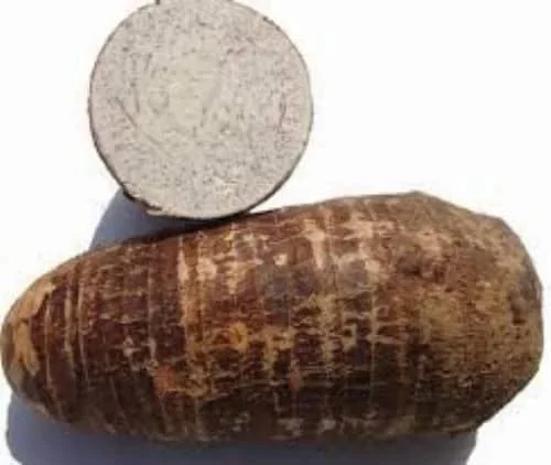 Таро сделано во Франция так свежее Премиум качество свежее/Лучшая конкурентоспособная цена для продажи