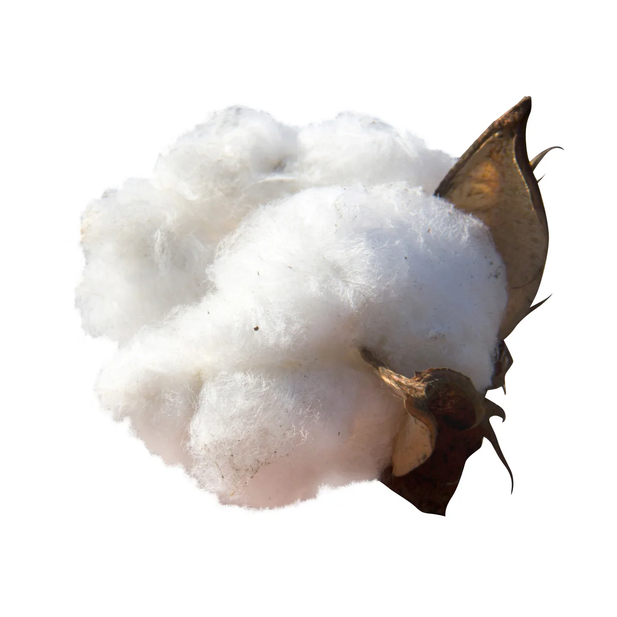 Hot selling loose/rolled/sheets cotton cellulose for sale in bulk any grades cellulose fiber