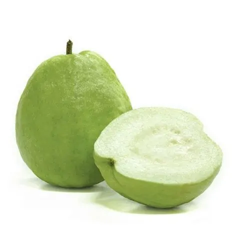 Fresh Green Sweet Guavas / Sweet Style Pack Sweet Fresh Guava Fruit with High Quality For Sale