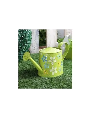 Minimalist Factory Direct Selling Stainless Steel Watering Can With Long Spout Garden Pots For Farmhouse