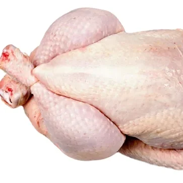 Premium Supplier Frozen Whole Chicken Chicken Processed Meat from Brazil