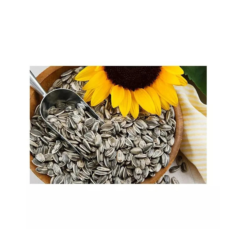 100% Fresh Sunflower Seed for sale in good price