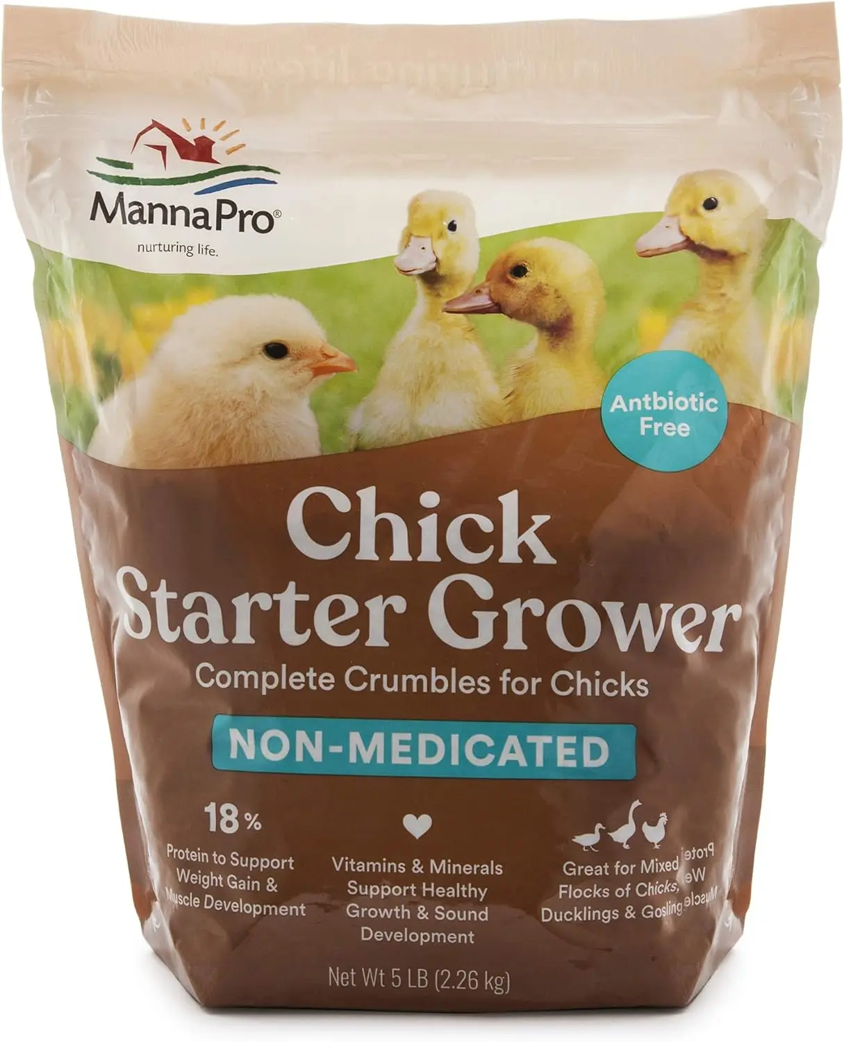 buy wholesale Chick Starter Food  Non Medicated Chick Feed  Chick Supplies  Duck Food 5 Pounds