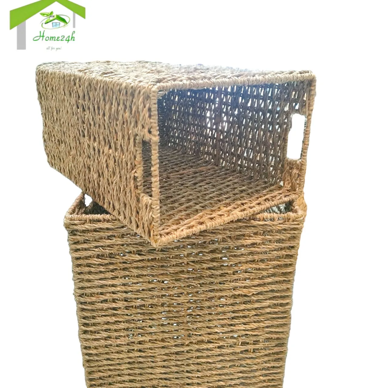 High Quality Seagrass Storage Baskets  Iron frame natural color and hole handle Rectangal basket Set of 2 for household Items