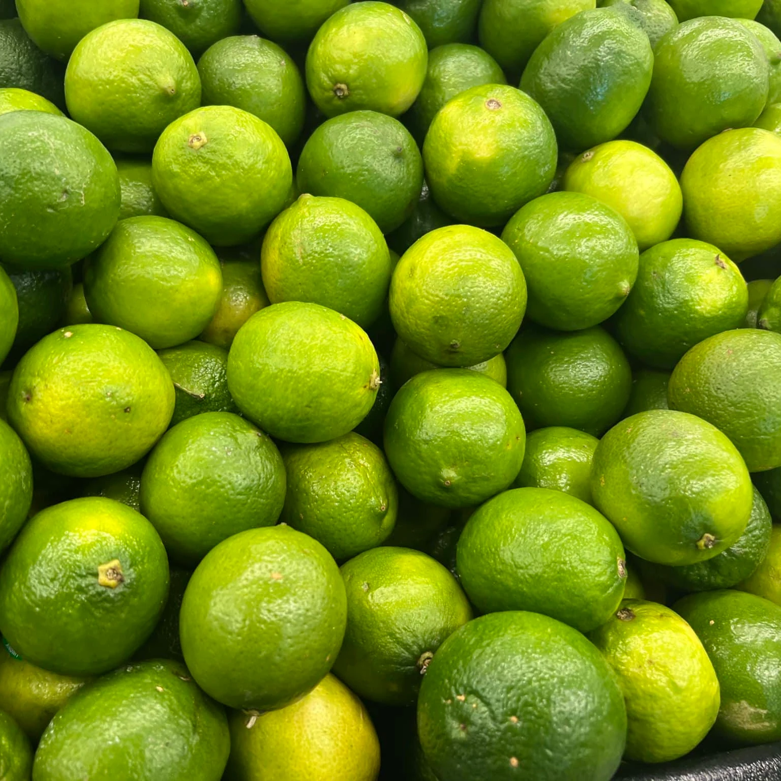Organic Fresh seedless lime/green lemon fresh fruit without seed from Vietnam high quality wholesales