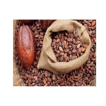 Cocoa Beans Cacao beans Dried Raw Cacao Fermented Cocoa Beans
