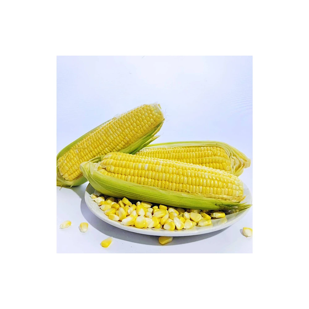 Свежая сладкая кукуруза из Таиланда