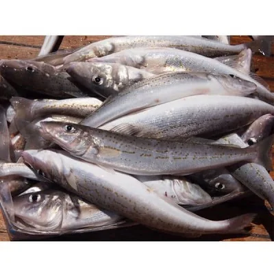 food3052181605670907784115.jpg