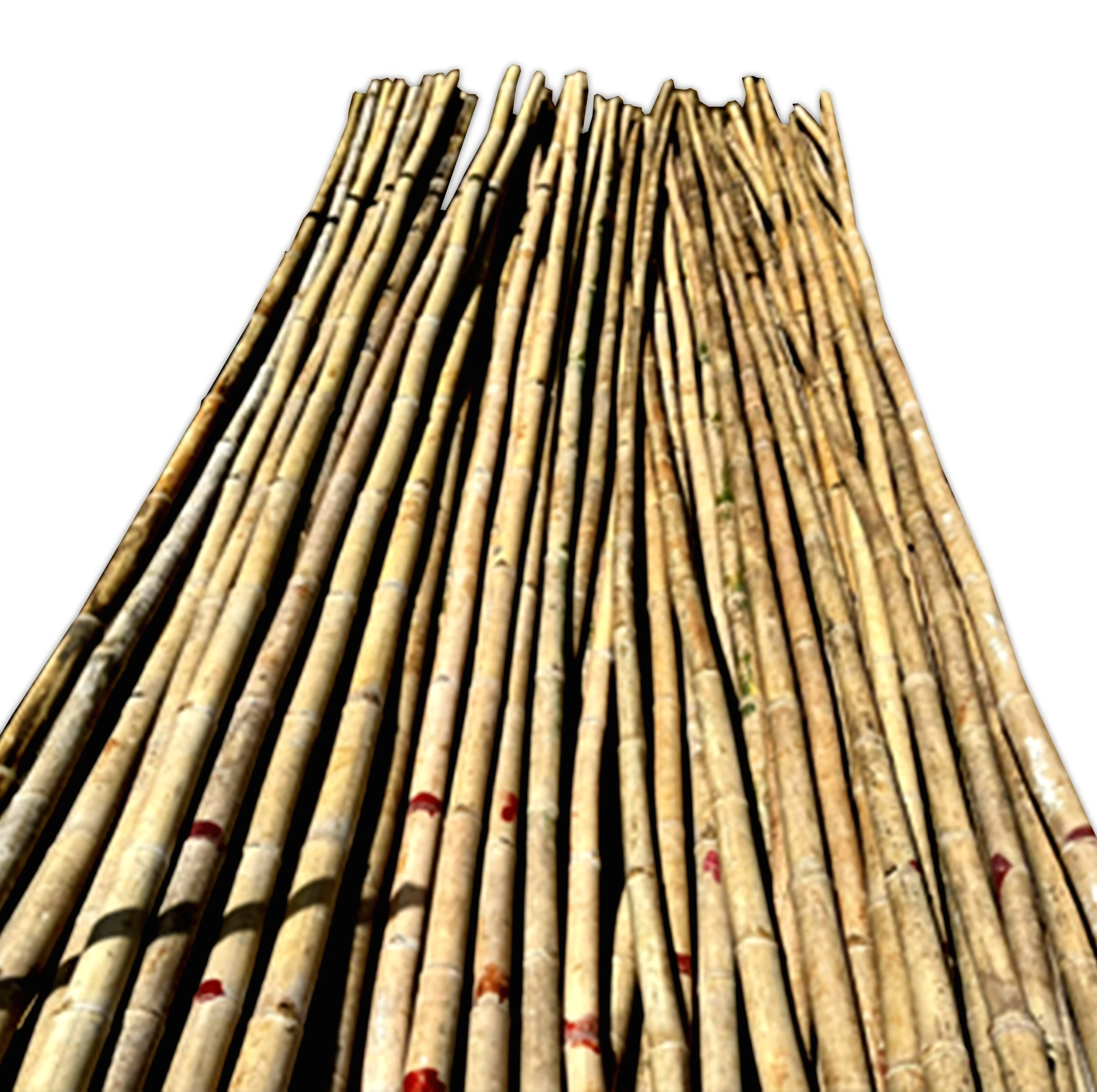 The leading product in Vietnam selling bamboo poles in bulk for decoration and construction, agriculture. most popular products