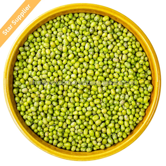 Supplier And Manufacturer Of Small Size 2.6mm-3.5mm High Quality Green Fresh Vigna Mung Beans For Sprouting