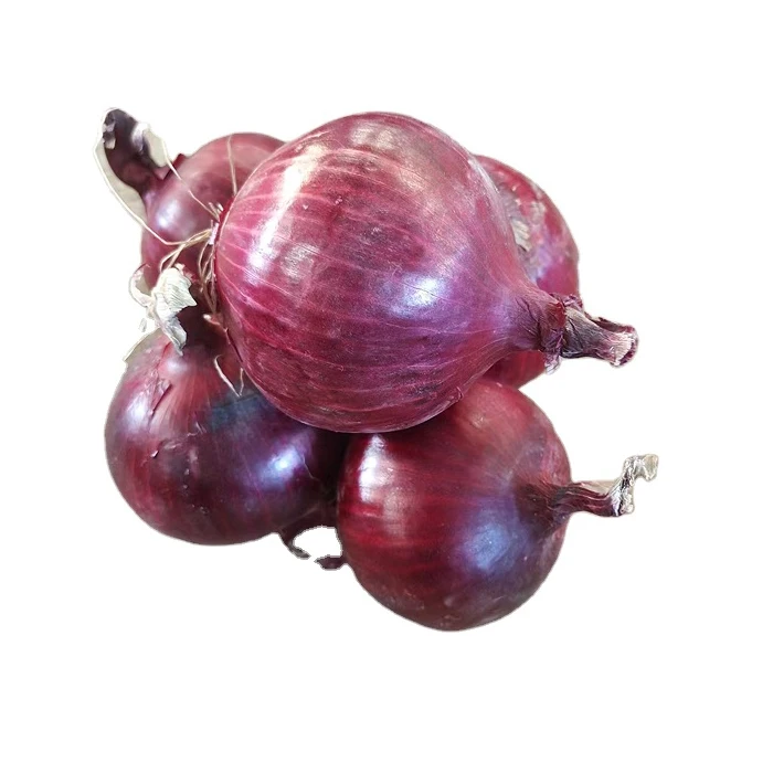 Избранное качество красный лук 5070 мм свежий лук заводское предложение