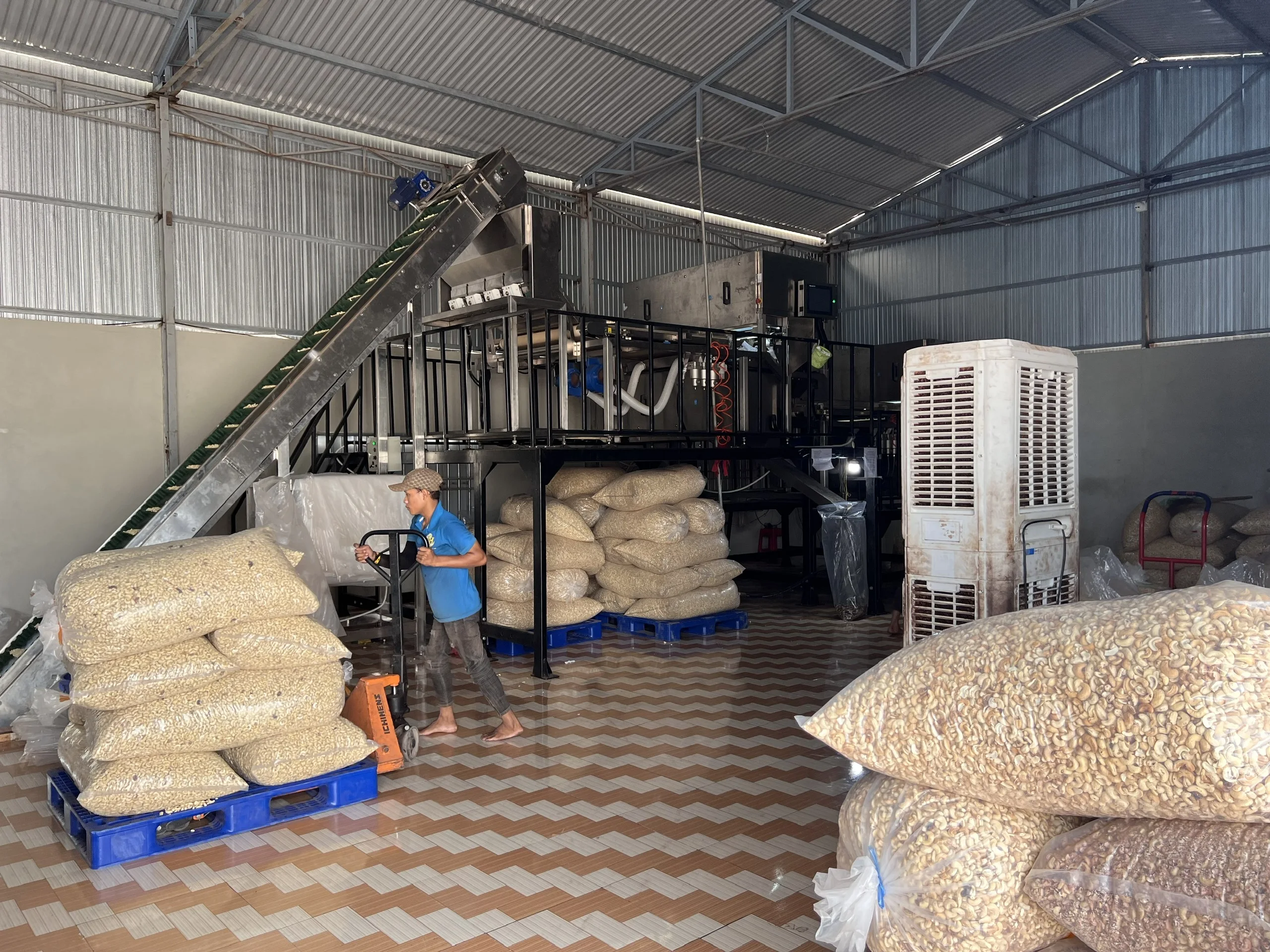 Wholesale High Quality Raw White Cashew Nuts With Best Price All Size W180 W240 W320 Made In Vietnam