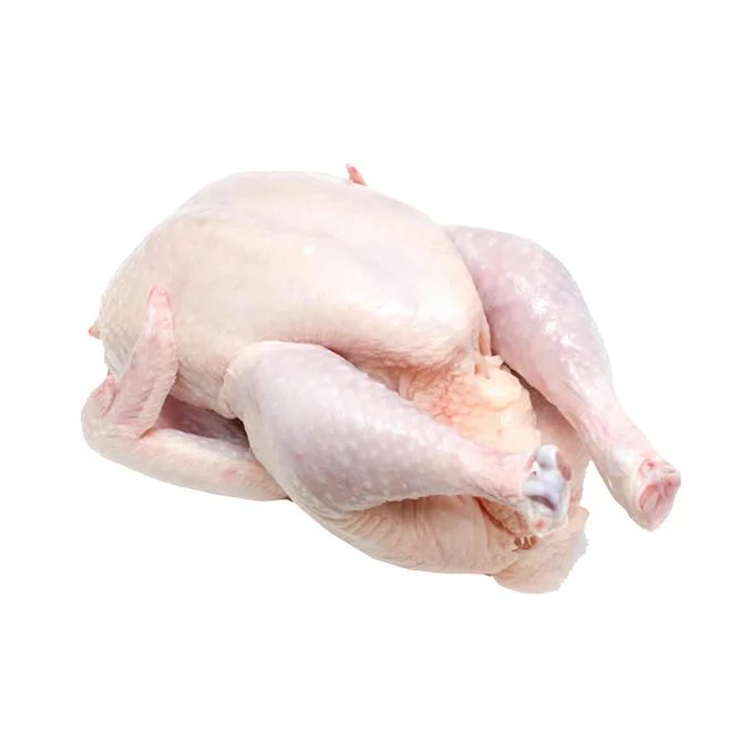 Wholesales Best Quality Halal frozen Chicken