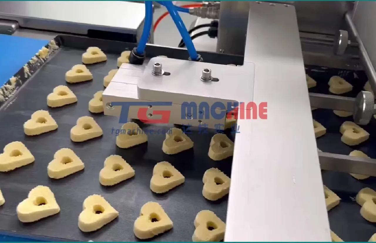 2024 TG Newly Designed Multi-Function Cranberry Cookie Forming Technology induction biscuit making machine bakery