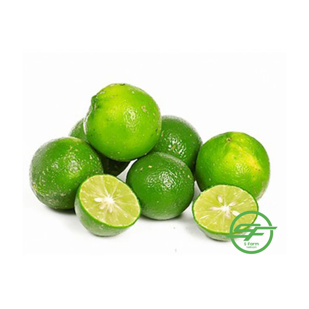 Fresh Seedless Lime Lemon | Vietnam Agricultural Export Products | Cheap Price for Buy in Bulk