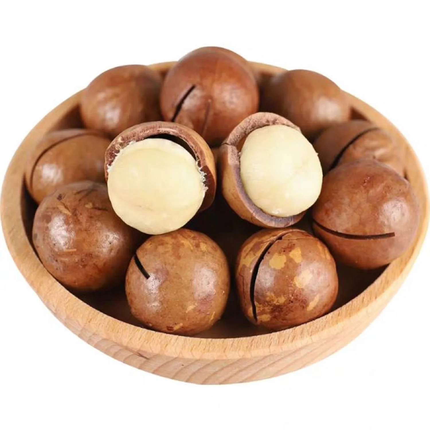 Factory Price Macadamia Nuts / Roasted Macadamia Nuts